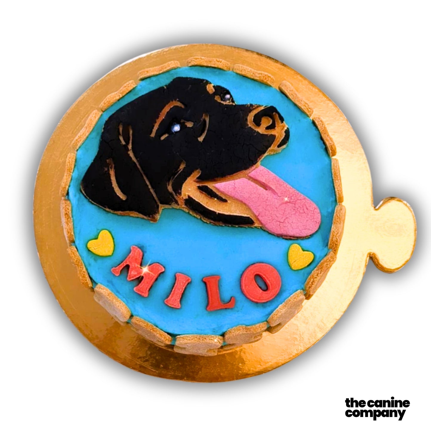 Dog Cake