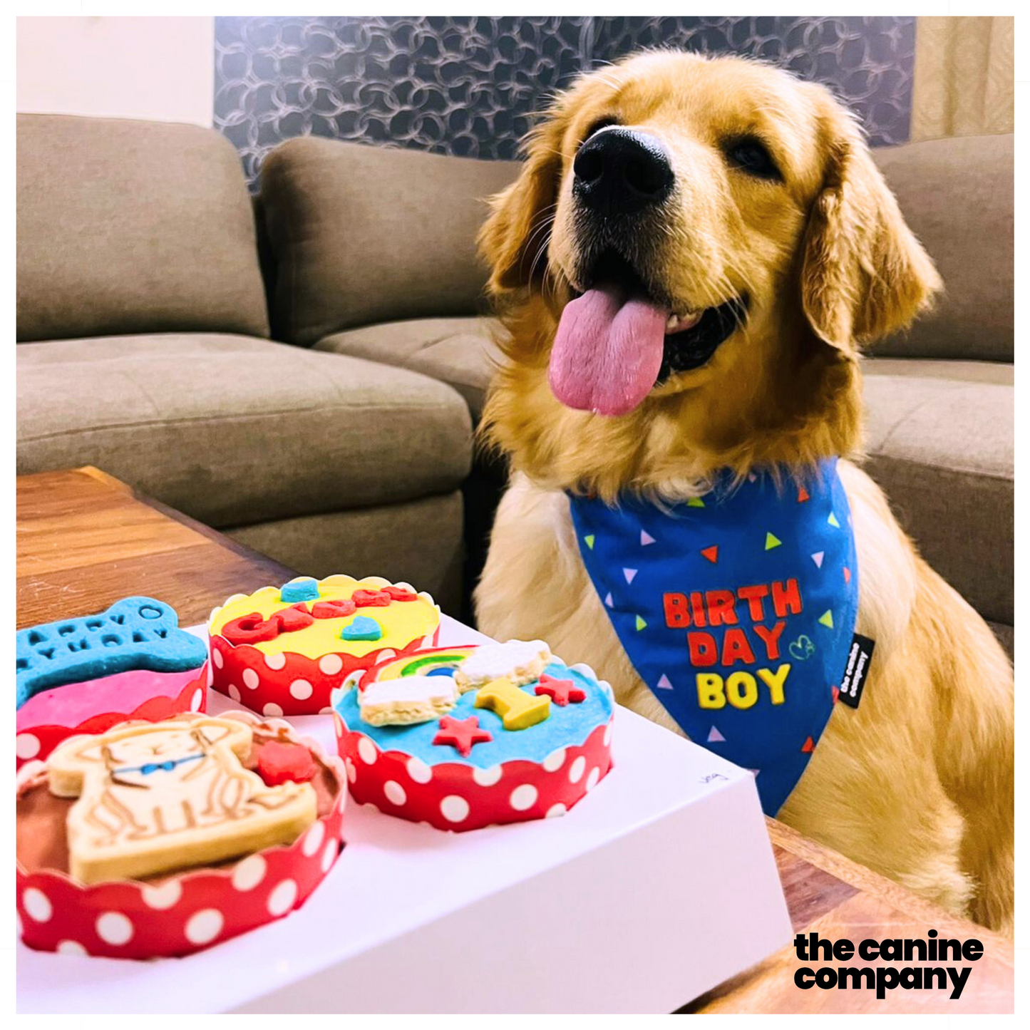 Birthday Boy