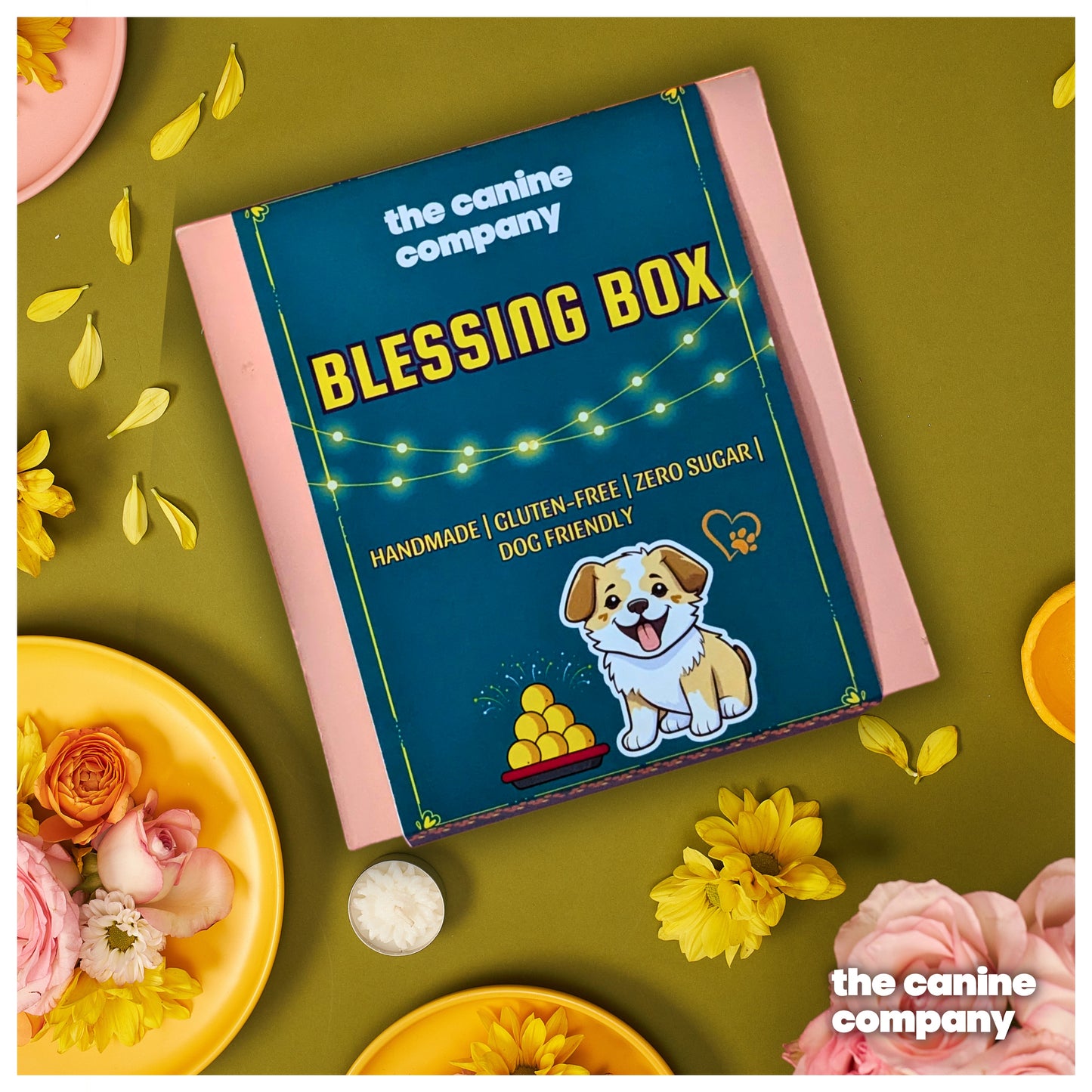Dog Laddoos