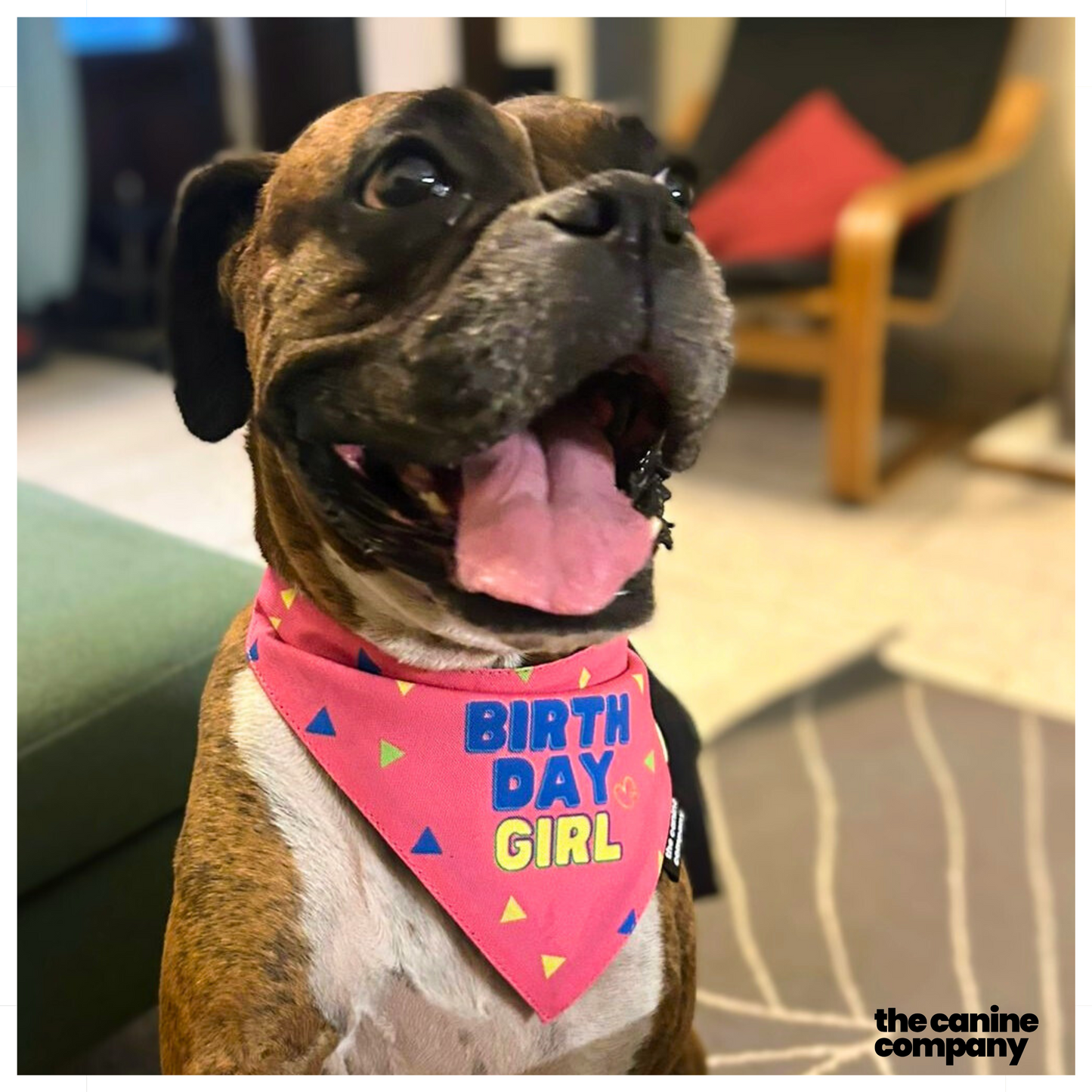 Birthday Girl