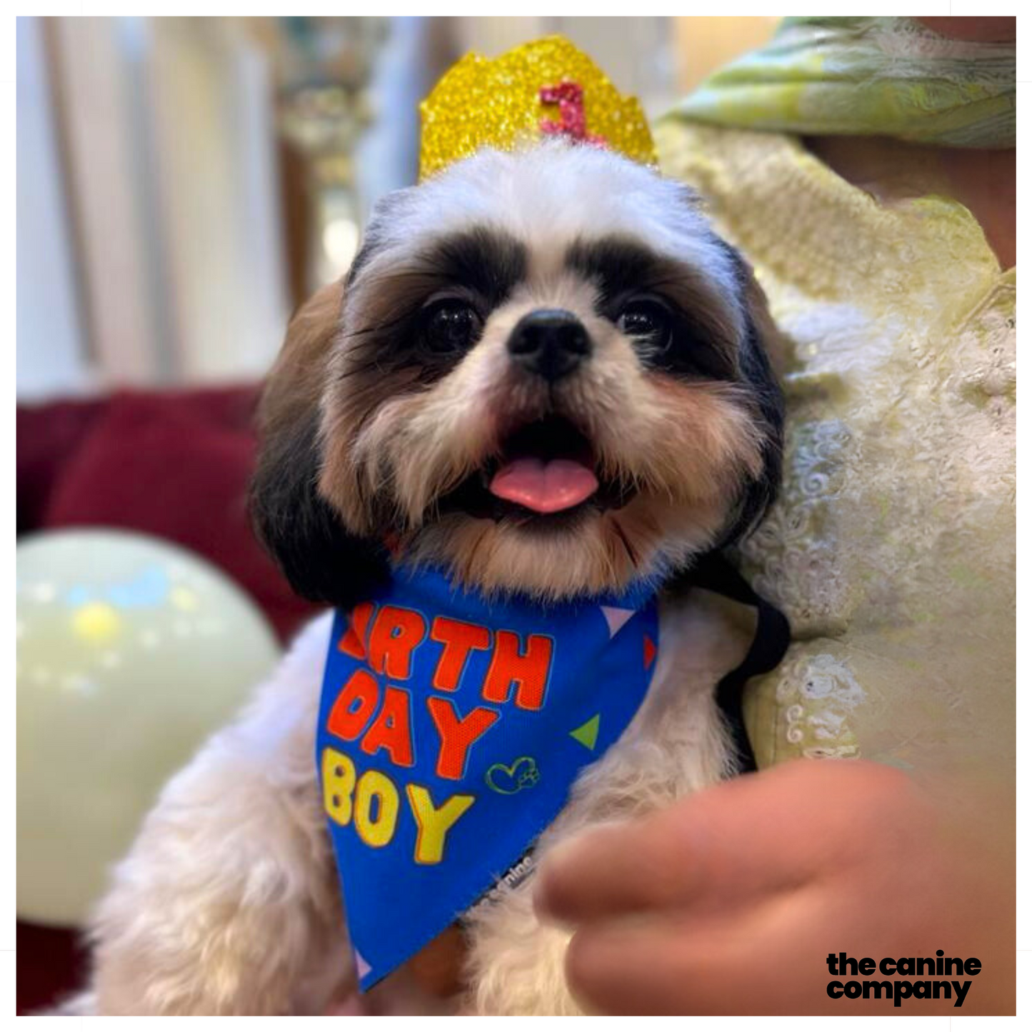 Birthday Boy