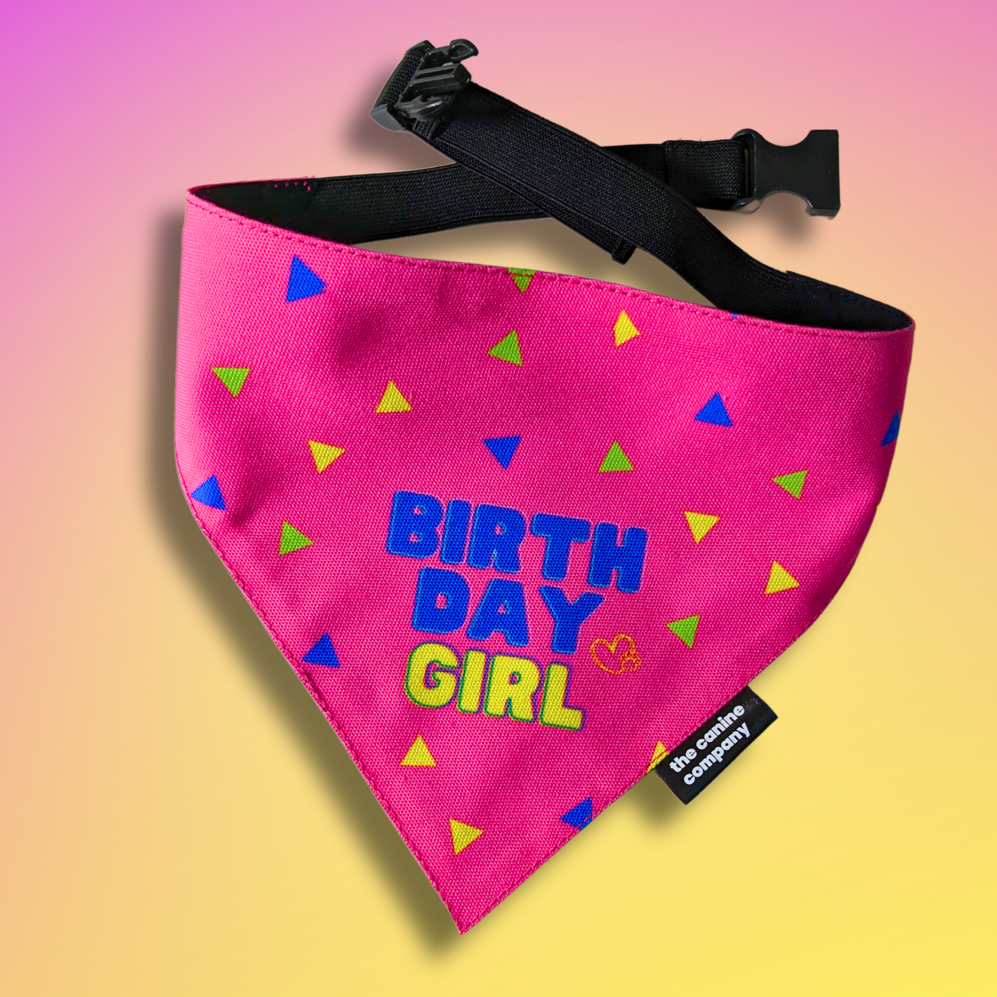 Birthday Girl