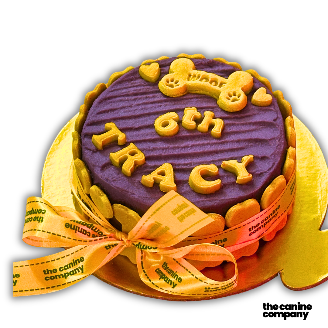 Dog Cake