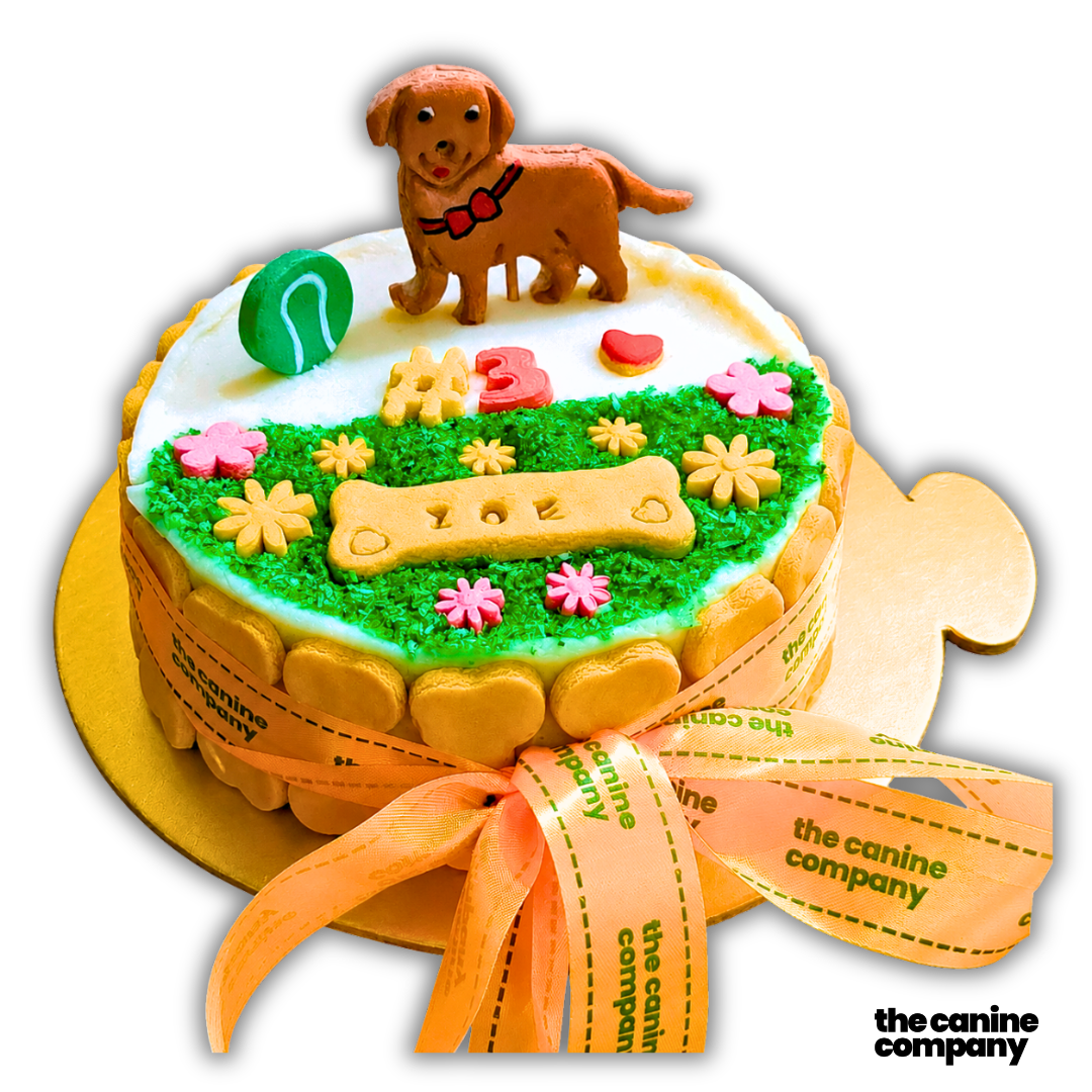 Dog Cake