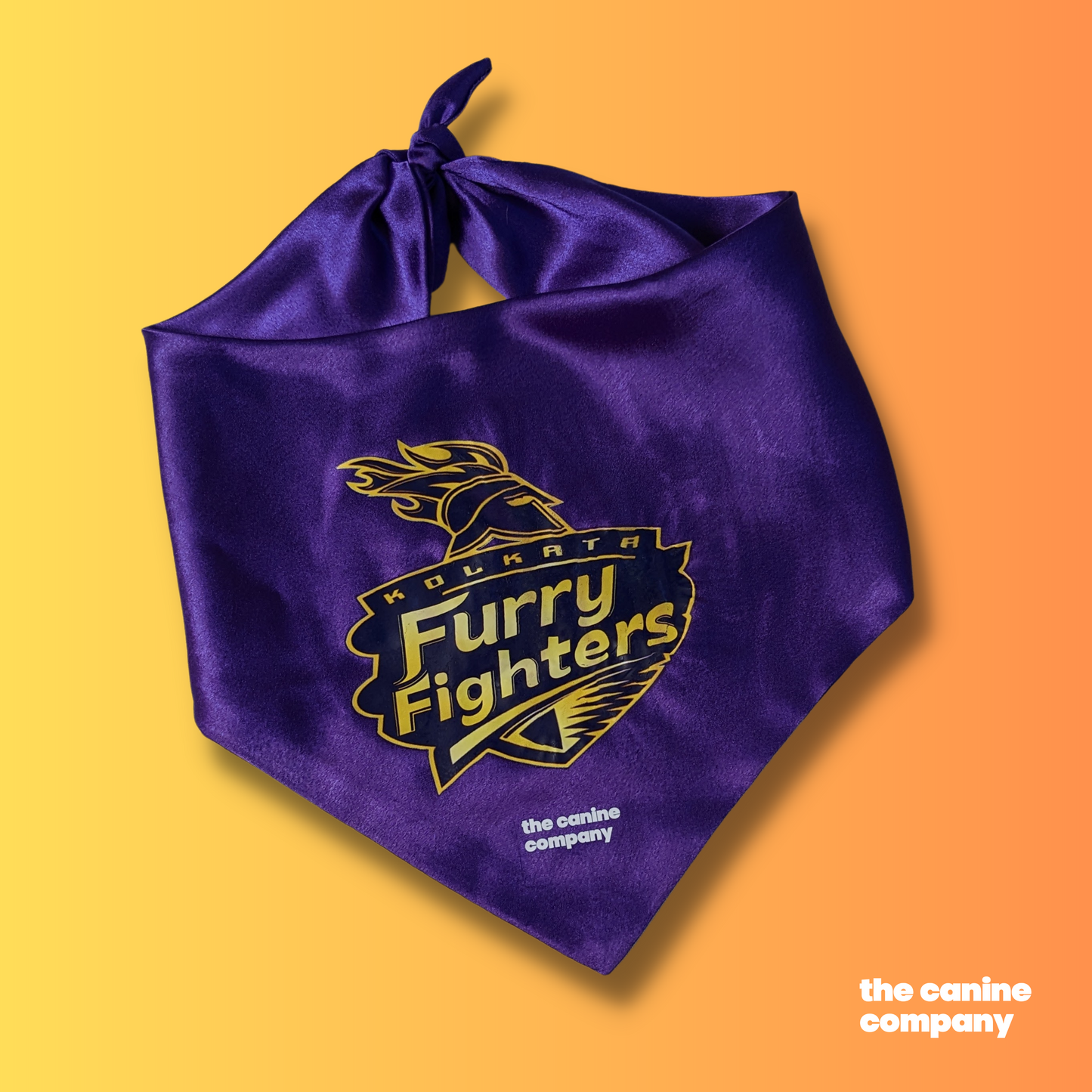 Kolkata Furry Fighters