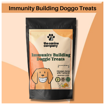 Immunity Building Treat- Chicken Jerky with Turmeric