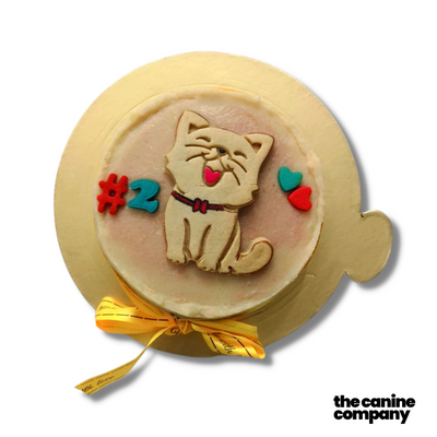Cat Cake
