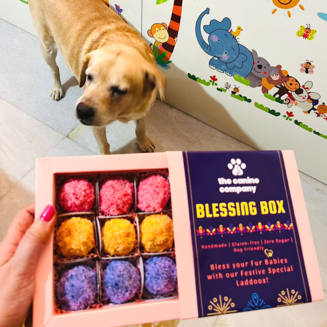 Dog Laddoos