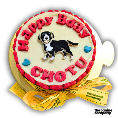 Dog Cake
