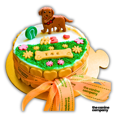 Dog Cake
