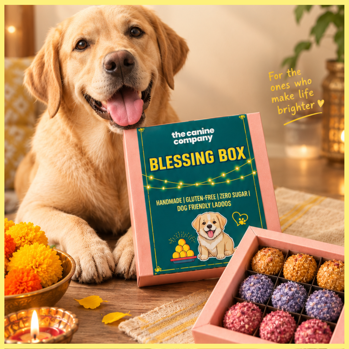 Dog Laddoos