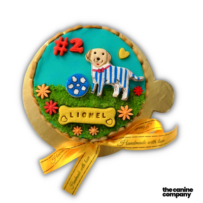 Dog Cake The Canine Company