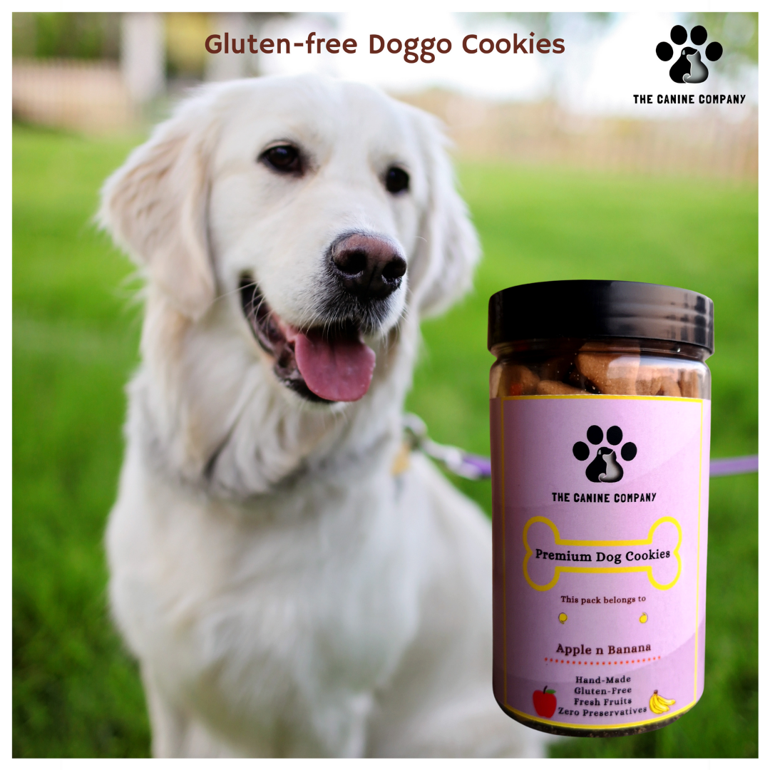 Gluten-Free Apple n Banana Biscuits